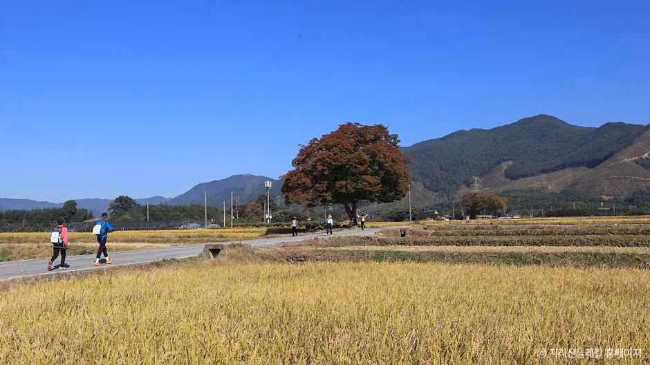[지리산둘레길] 방광-산동