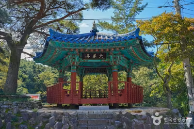 육모정