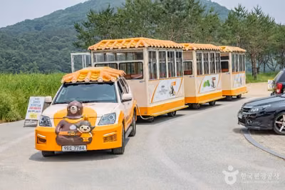 고마열차