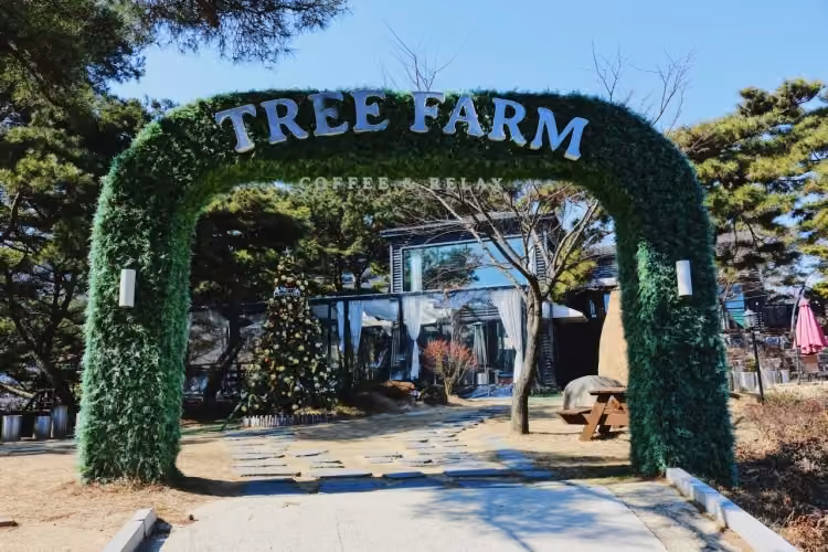 트리팜