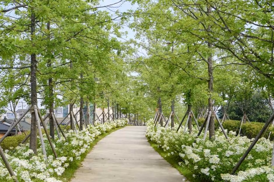 치악산 바람길숲