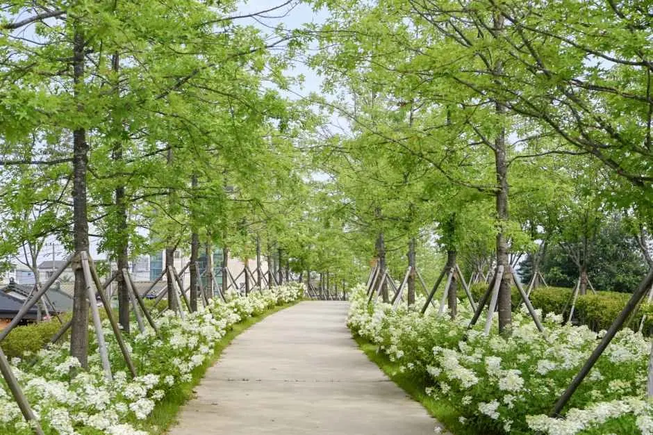 치악산 바람길숲