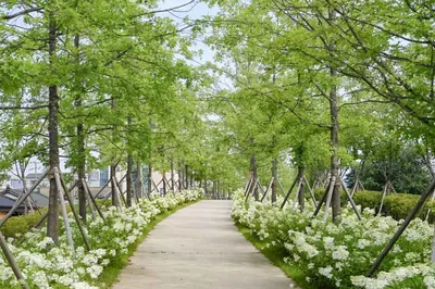치악산 바람길숲