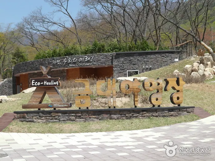 금대 에코힐링 캠핑장