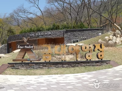 금대 에코힐링 캠핑장