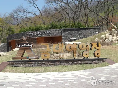 금대 에코힐링 캠핑장