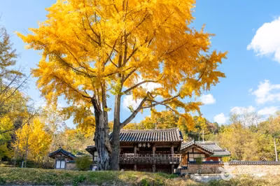 예안향교