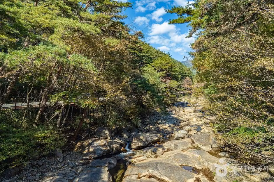 구례 장죽전 녹차시배지
