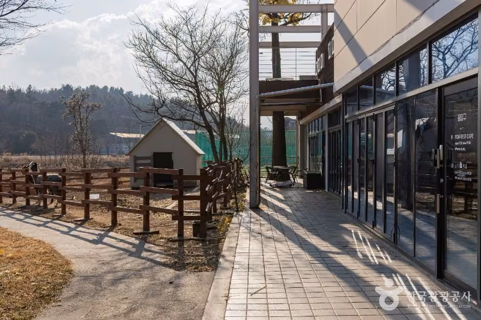 포레스트카페
