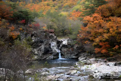 제대로 요약정리한 안보 관광명소 모음 코스