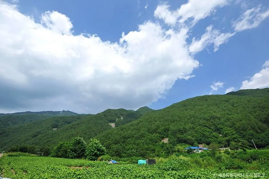 백석봉(정선)