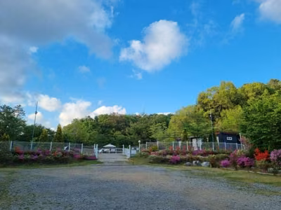 피플앤독힐링캠프