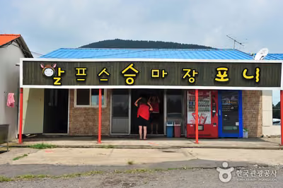 알프스제주