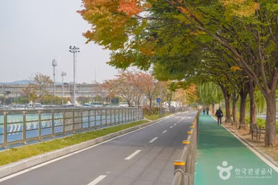 살곶이체육공원