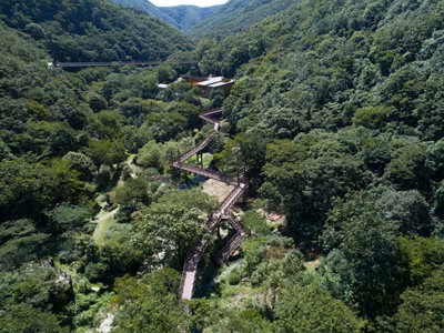 금산산림문화타운