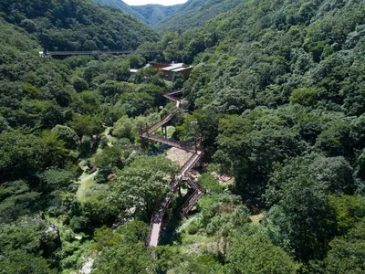 금산산림문화타운