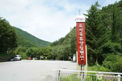 도사곡휴양림