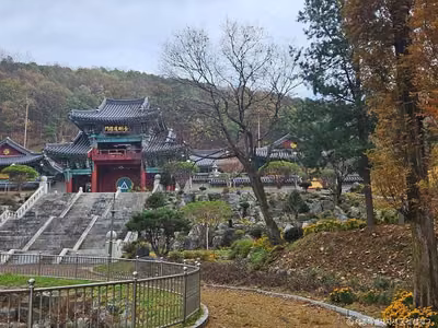 금강대도