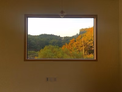 프레이밍