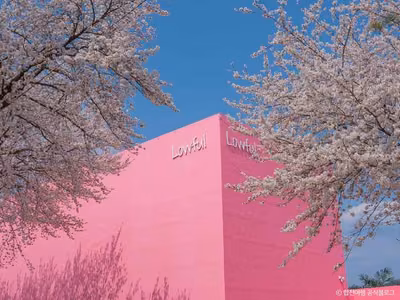 로우풀