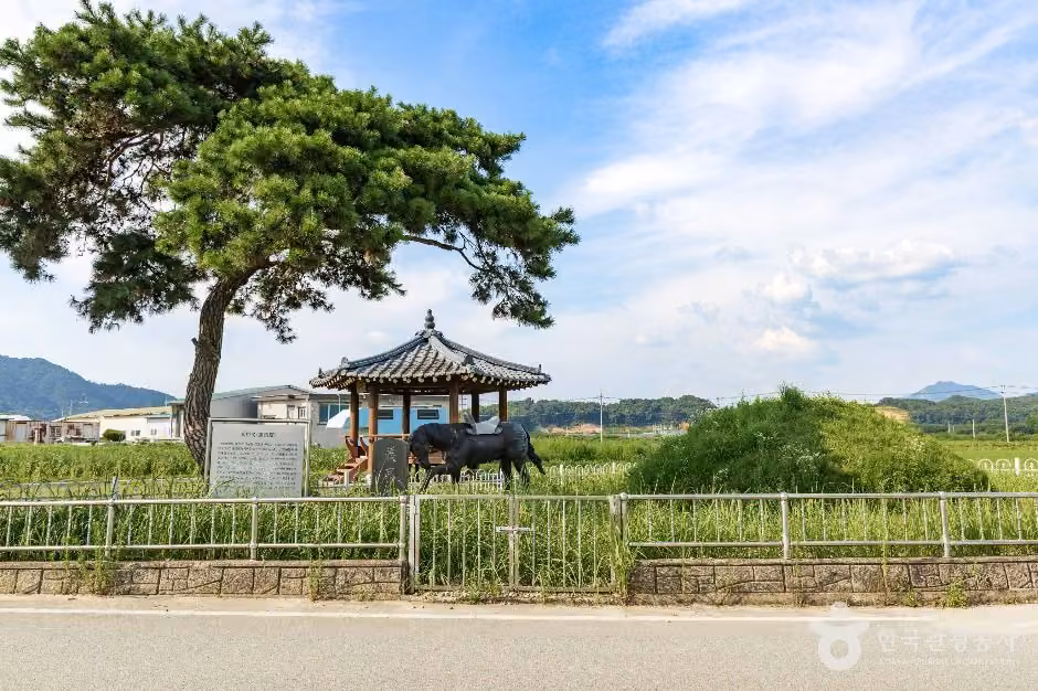 의마총