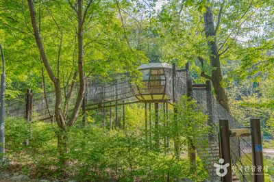 광교중앙공원