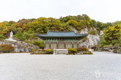 반야사(논산)