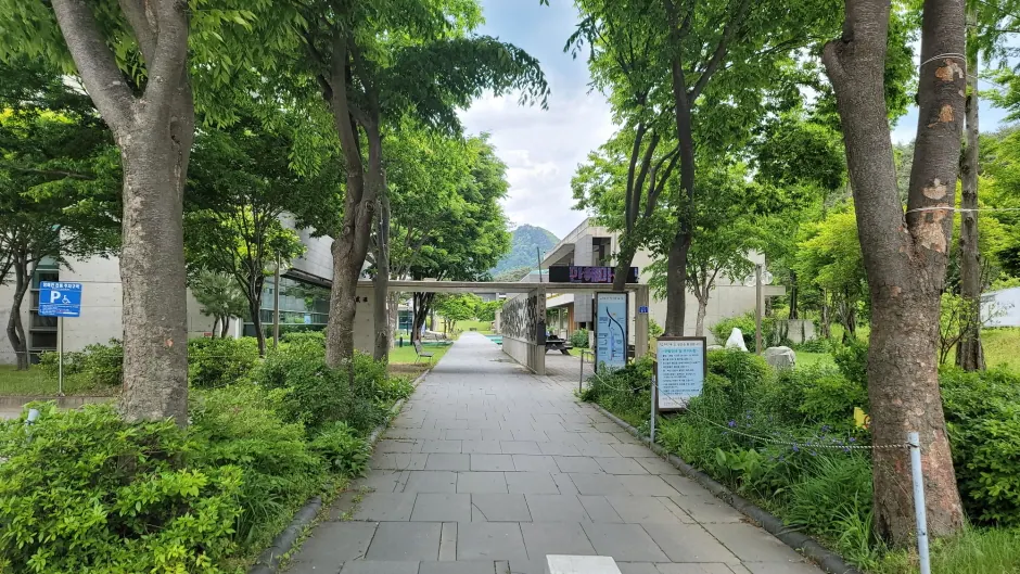 [강원평화누리자전거길 14코스] 인제 인제길