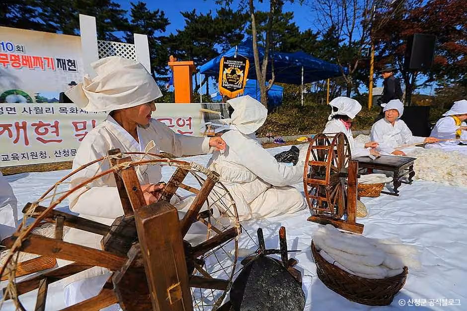 목면시배유지