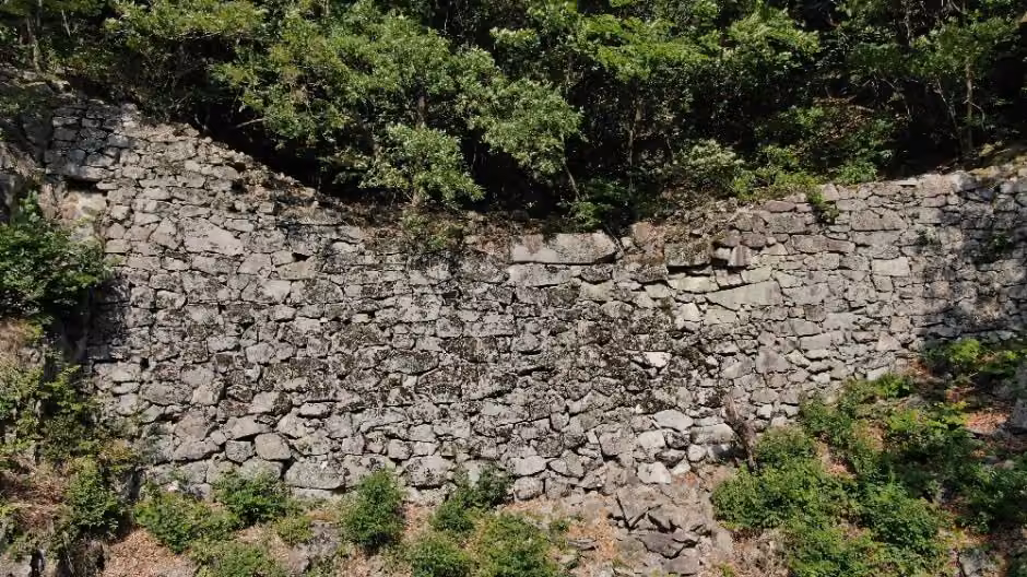 보가산성지(지장산)