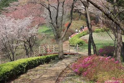 봉황산산림욕장