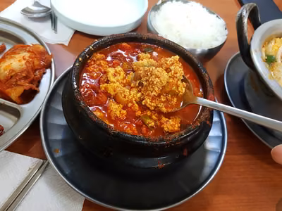 신해바라기