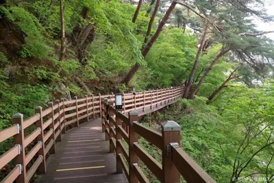 [효석문학100리길 1코스] 문학의 길