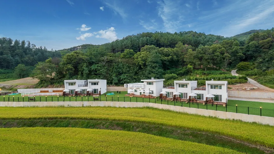 펫티움애견펜션
