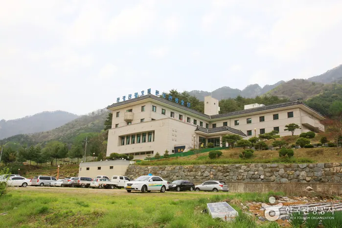 문경관광호텔