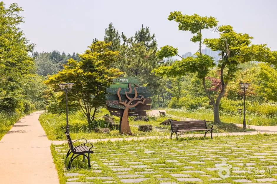 연희자연마당