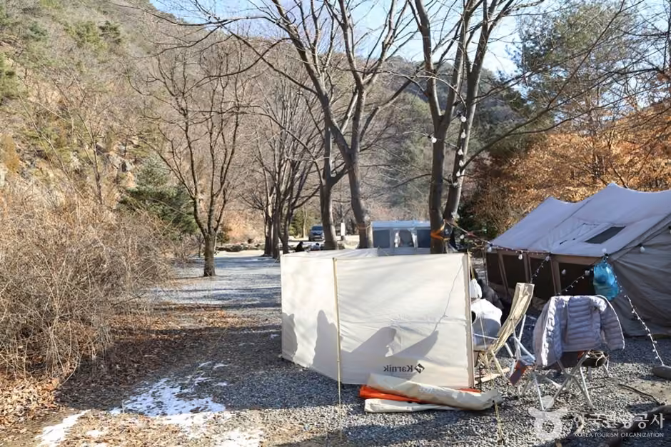 태양힐링숲