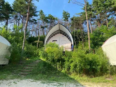 속초밤하늘글램핑