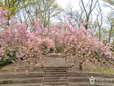 화원동산