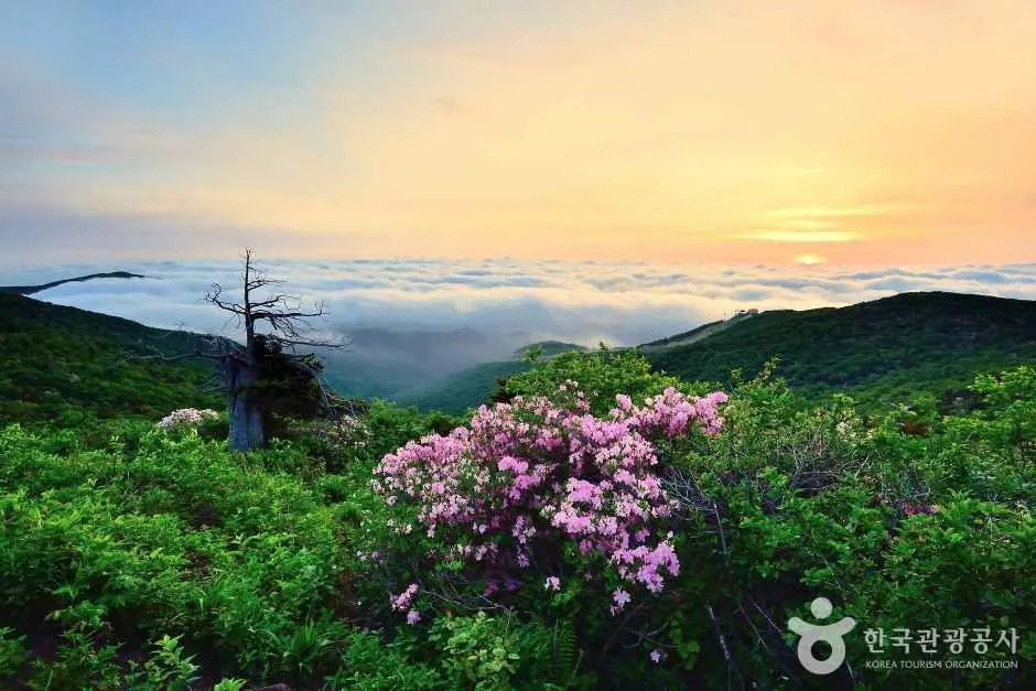 함백산
