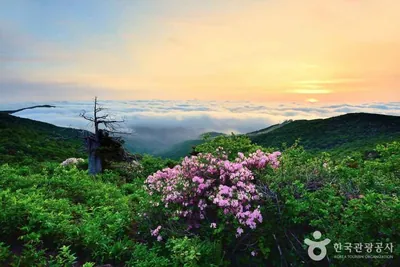 함백산