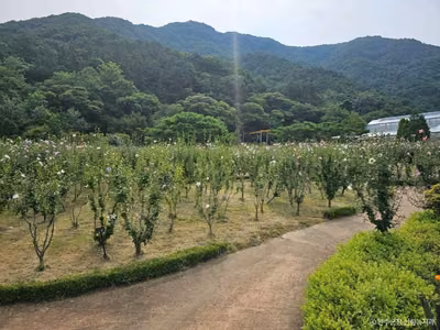 고산문화공원