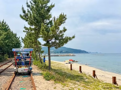 삼척 해양레일바이크