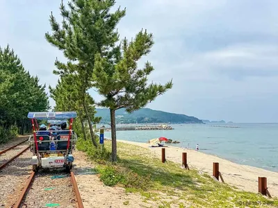 삼척 해양레일바이크
