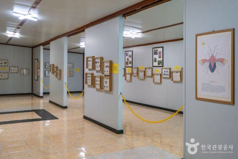 원주곤충마을박물관