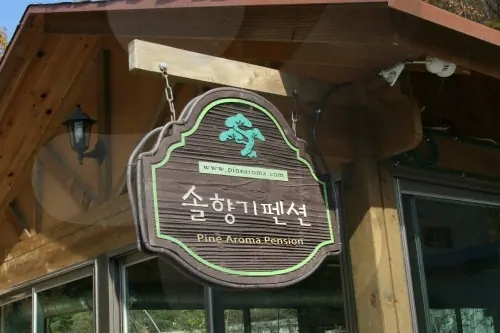솔향기 펜션
