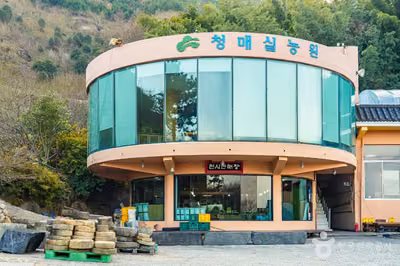 홍쌍리 청매실농원