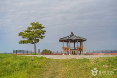 새만금 광역탐방로