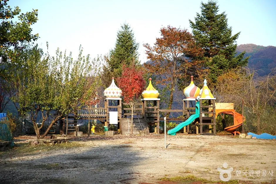 알프스벨리 사계절썰매장