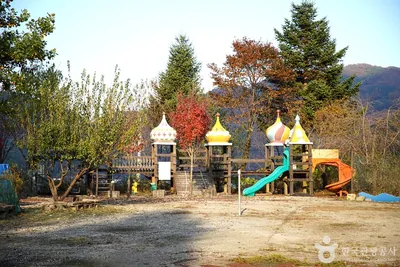 알프스벨리 사계절썰매장